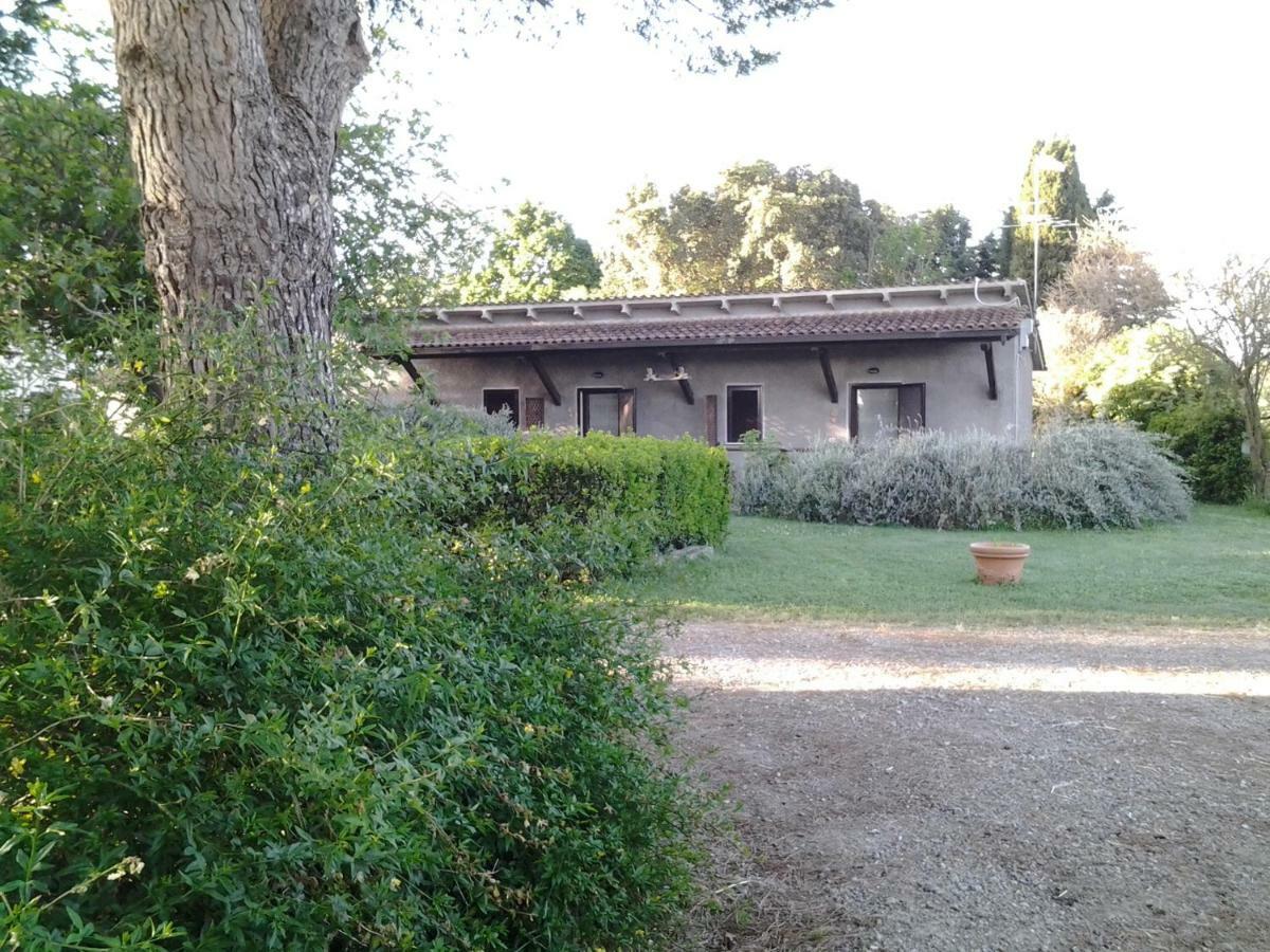 Agriturismo Piana Arborello Hotel Magliano in Toscana Exterior photo